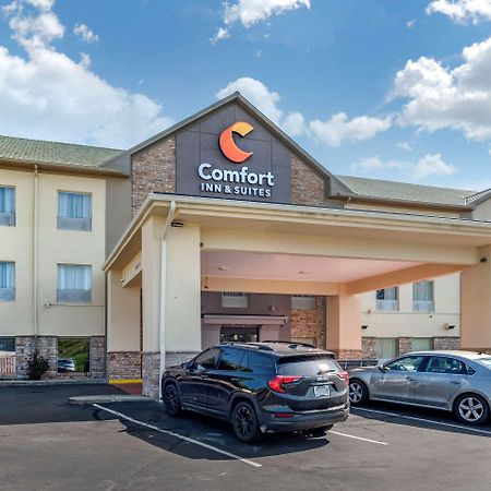 Comfort Inn & Suites Цинциннати Экстерьер фото